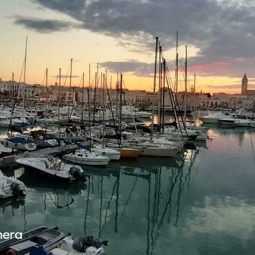 Bari