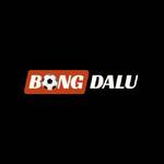 Bongda lu