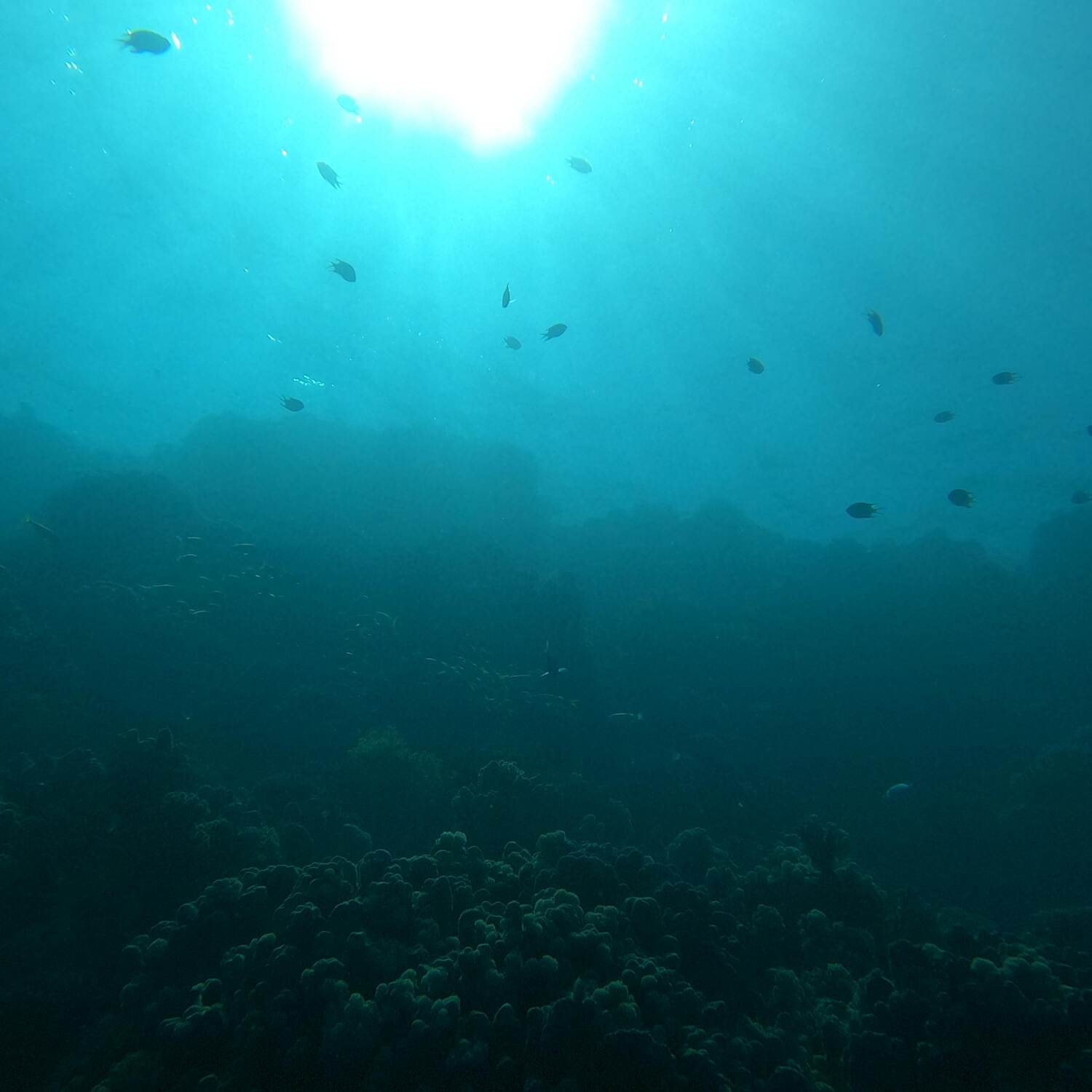 Marsa Alam Ägypten