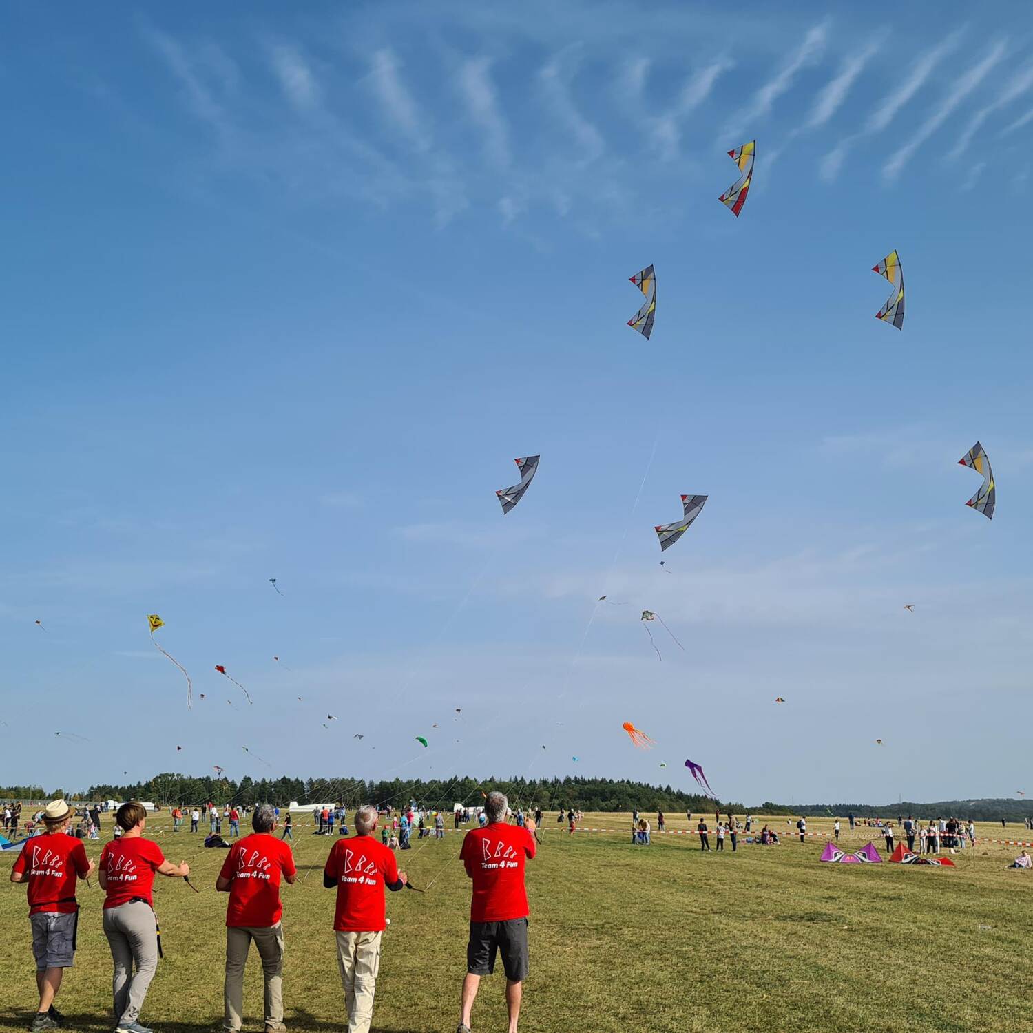Drachenfest in Malmsheim