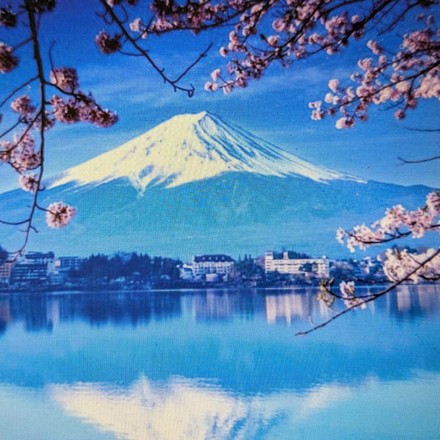 Japan 25