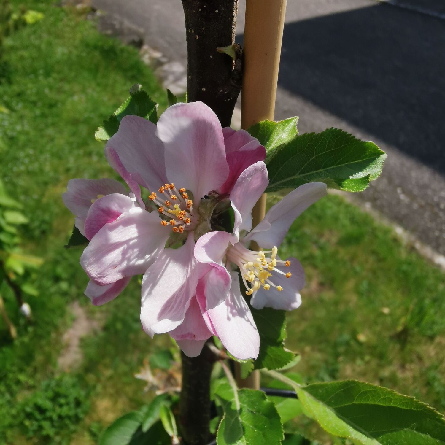 Frühlingsfahrt