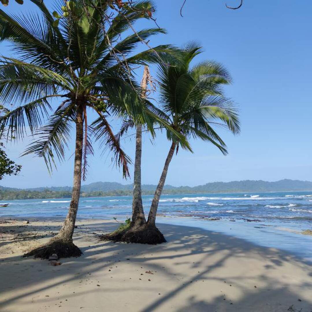 Costa Rica & Mexico