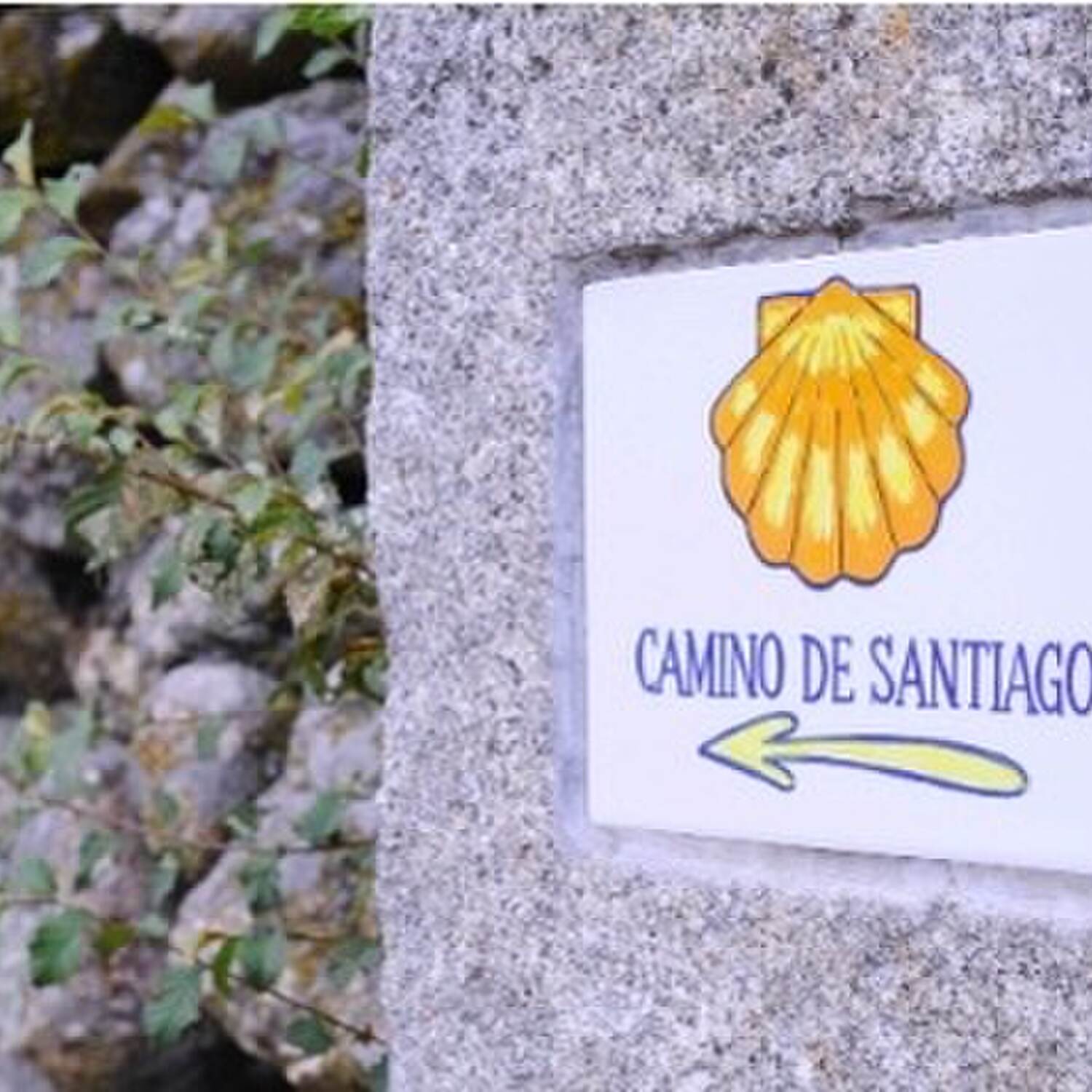 2025 Camino de Santiago