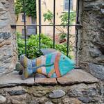 Marlies Ott-Wüthrich
