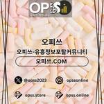 제주도오피 오피사이트.NET 제주도OP