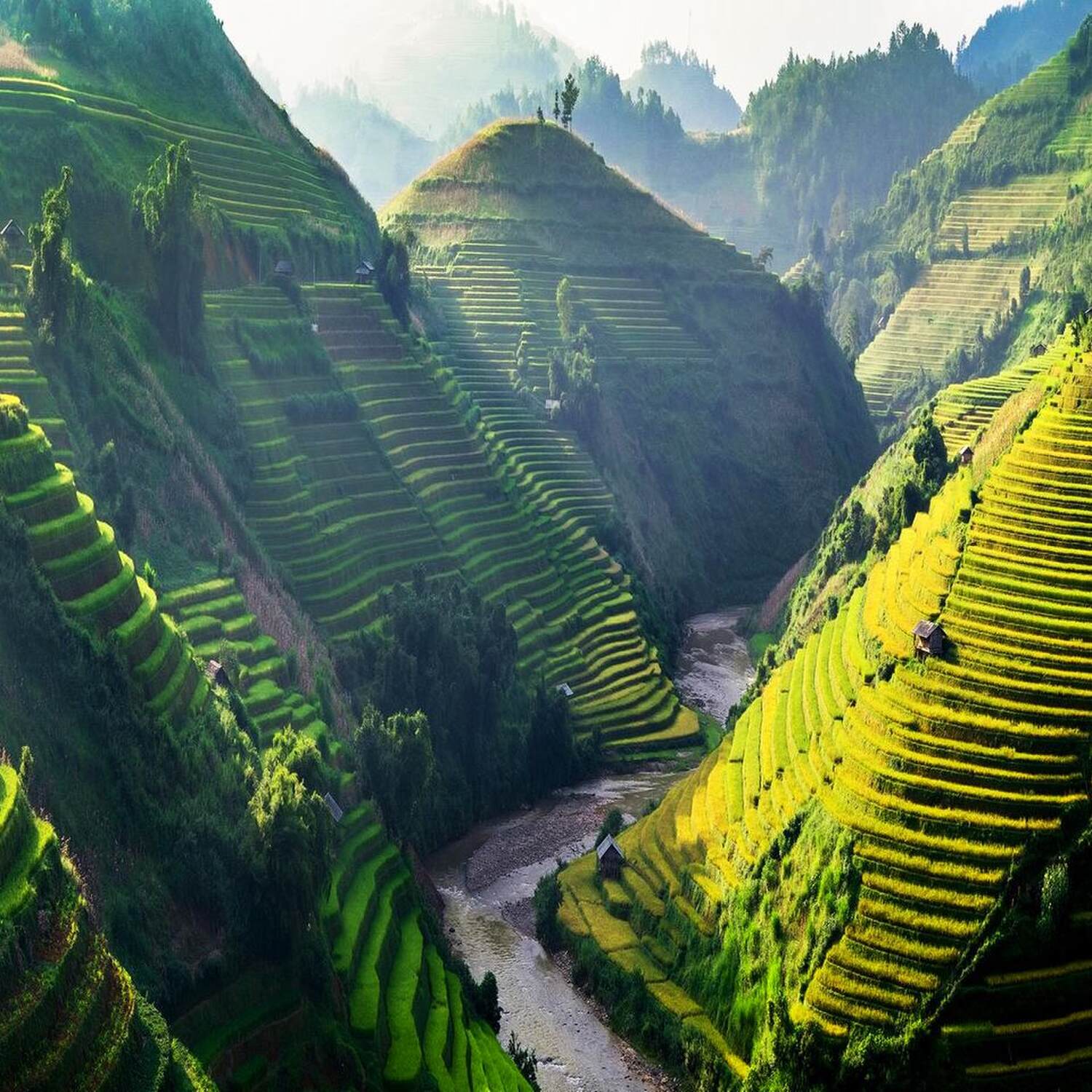 Vietnam 🇻🇳