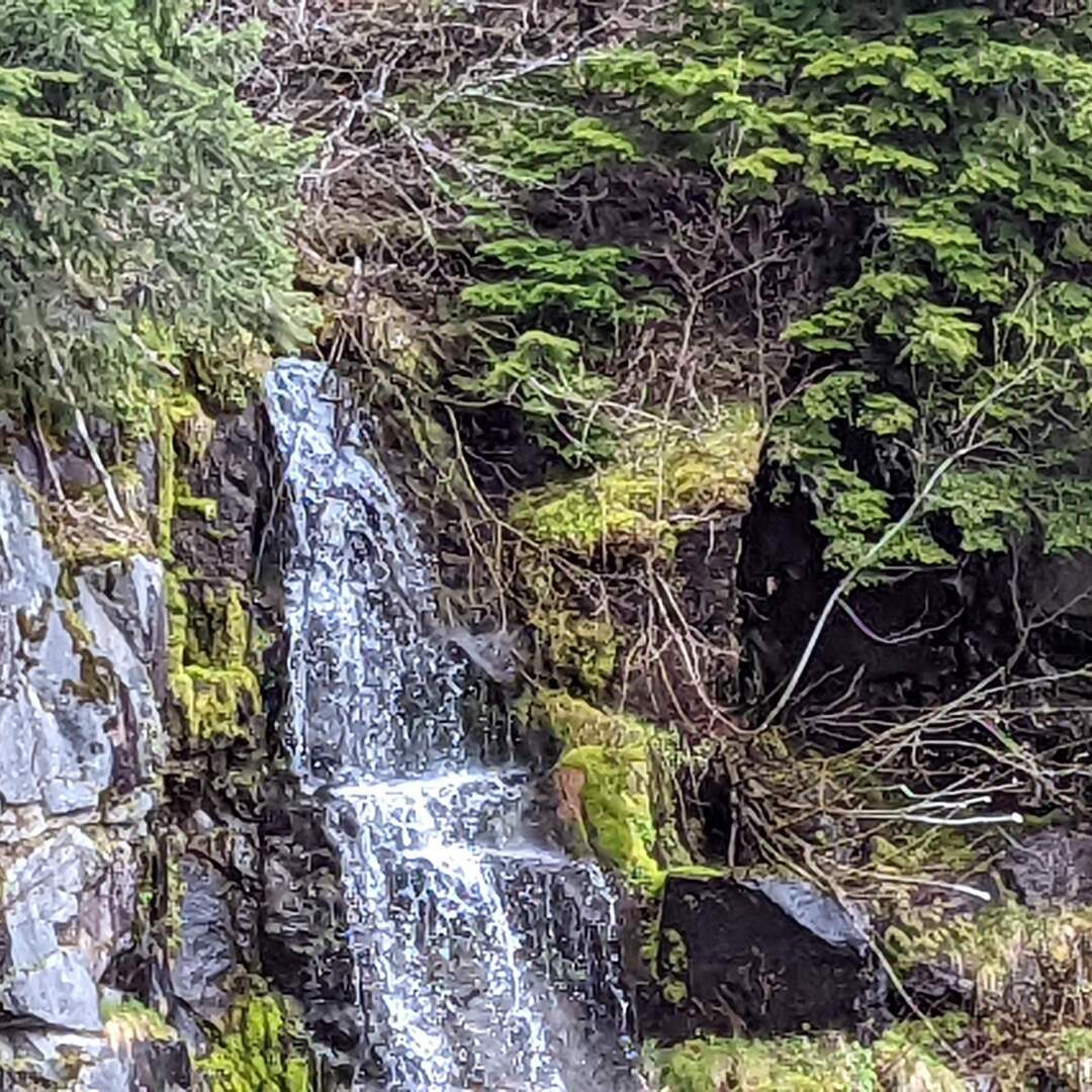 Seattle-Alaska