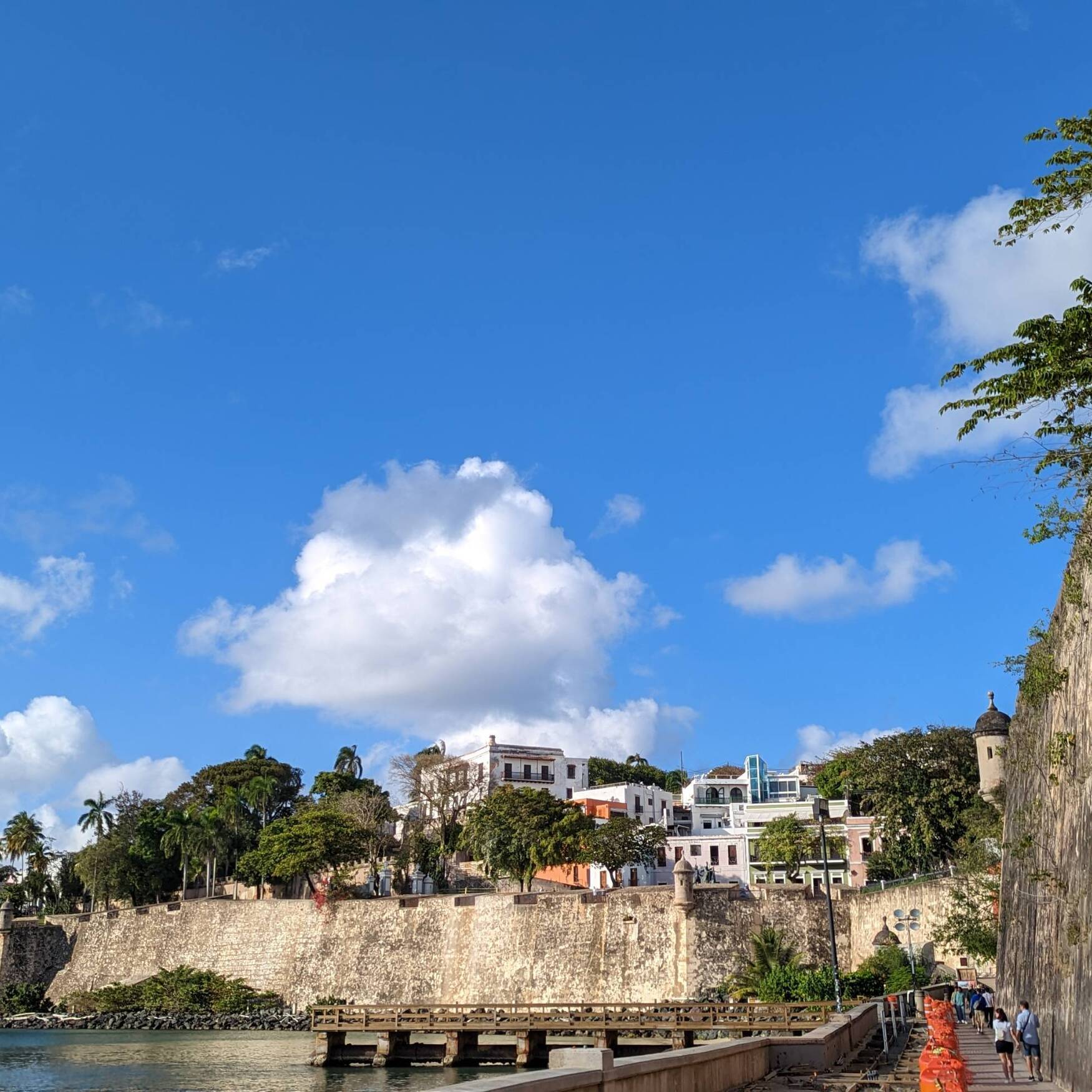 Caribbean Capers- Part Deux