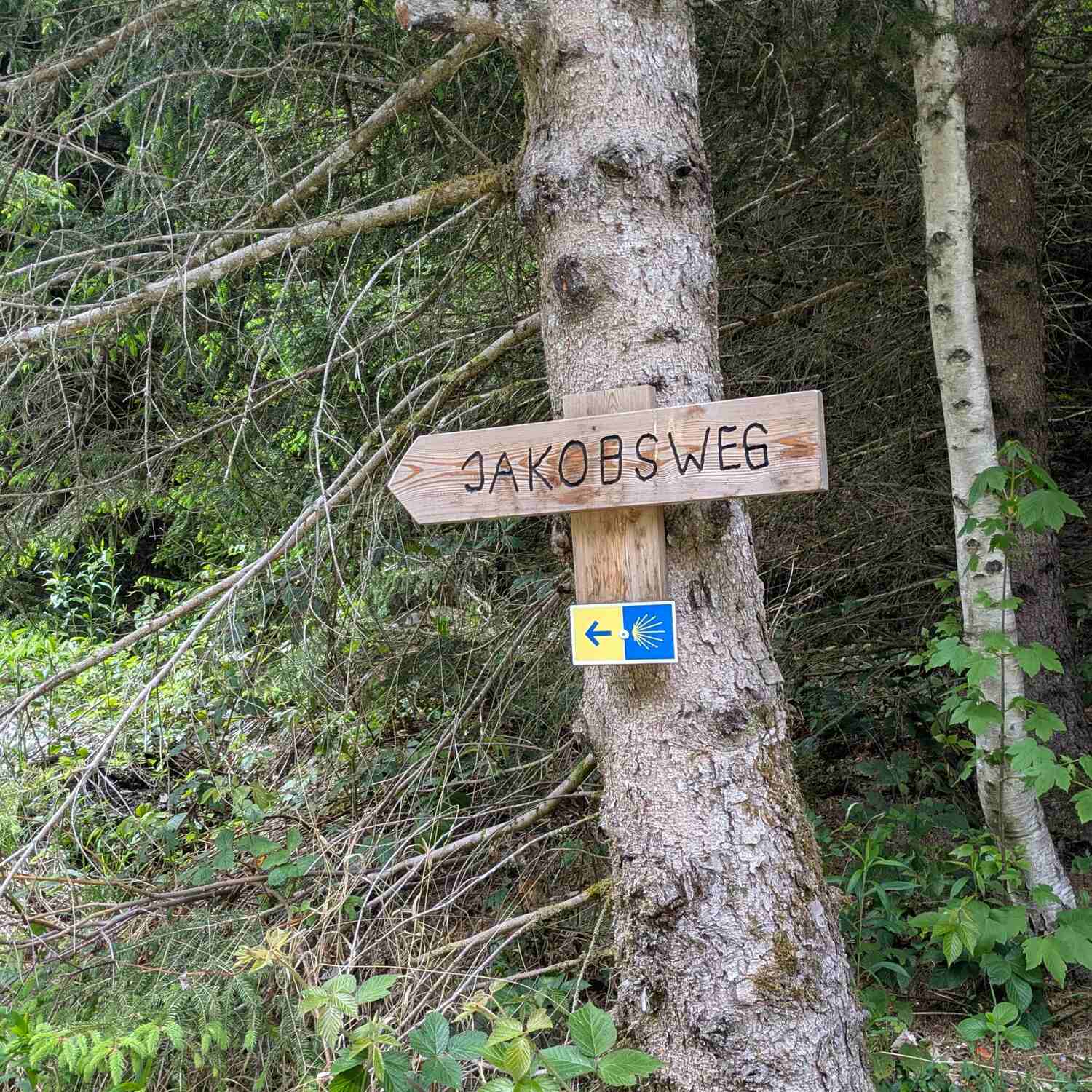 Jakobsweg