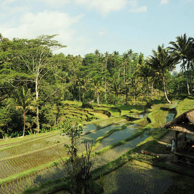 Bali