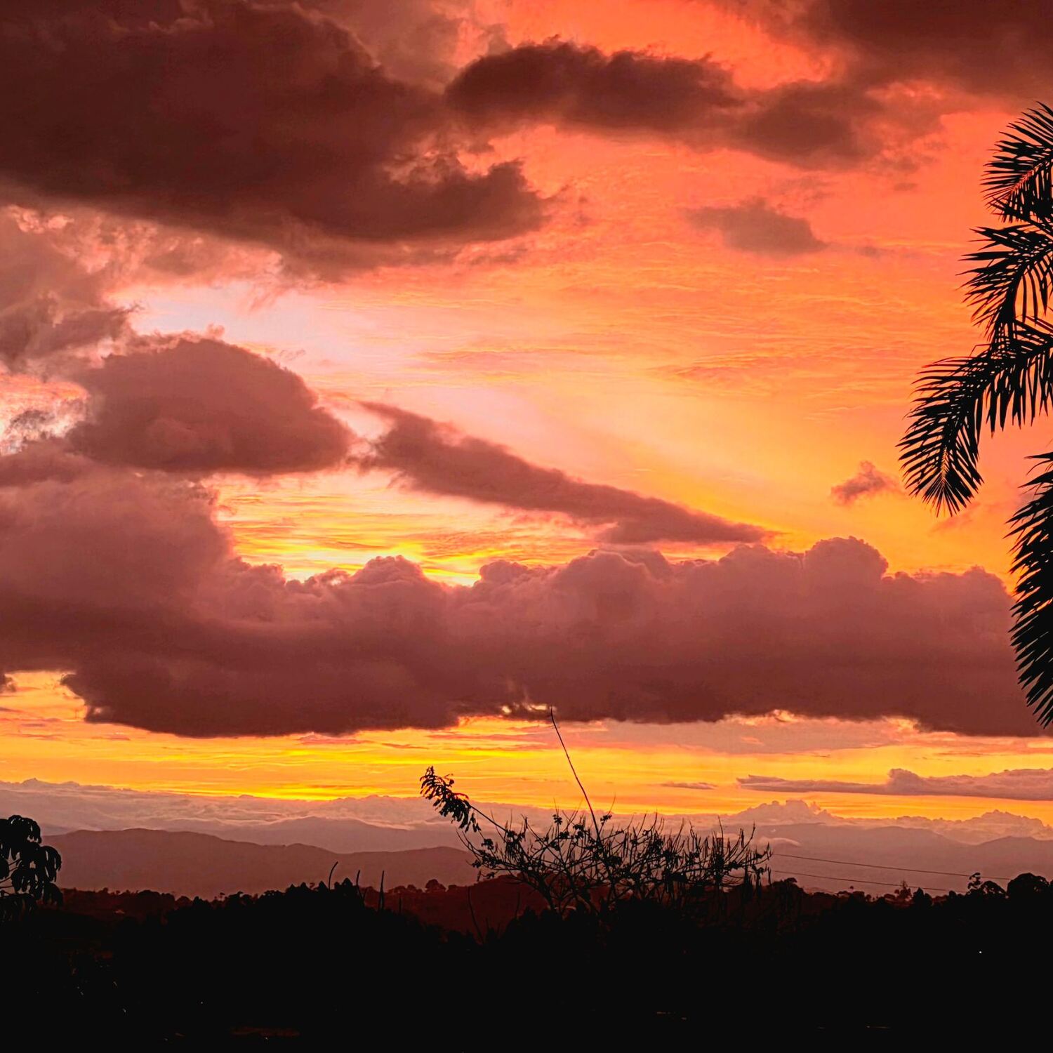 Peru und Kolumbien 2026