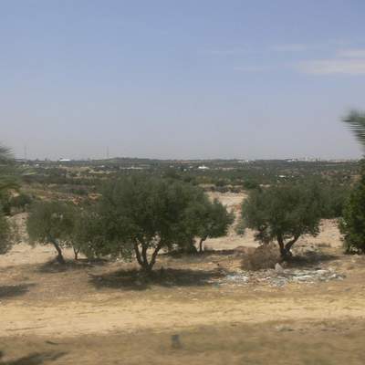 Tunesia 2011