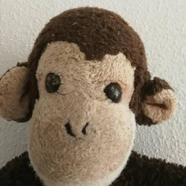 el gerardo