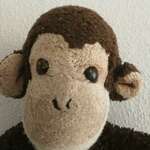 el gerardo