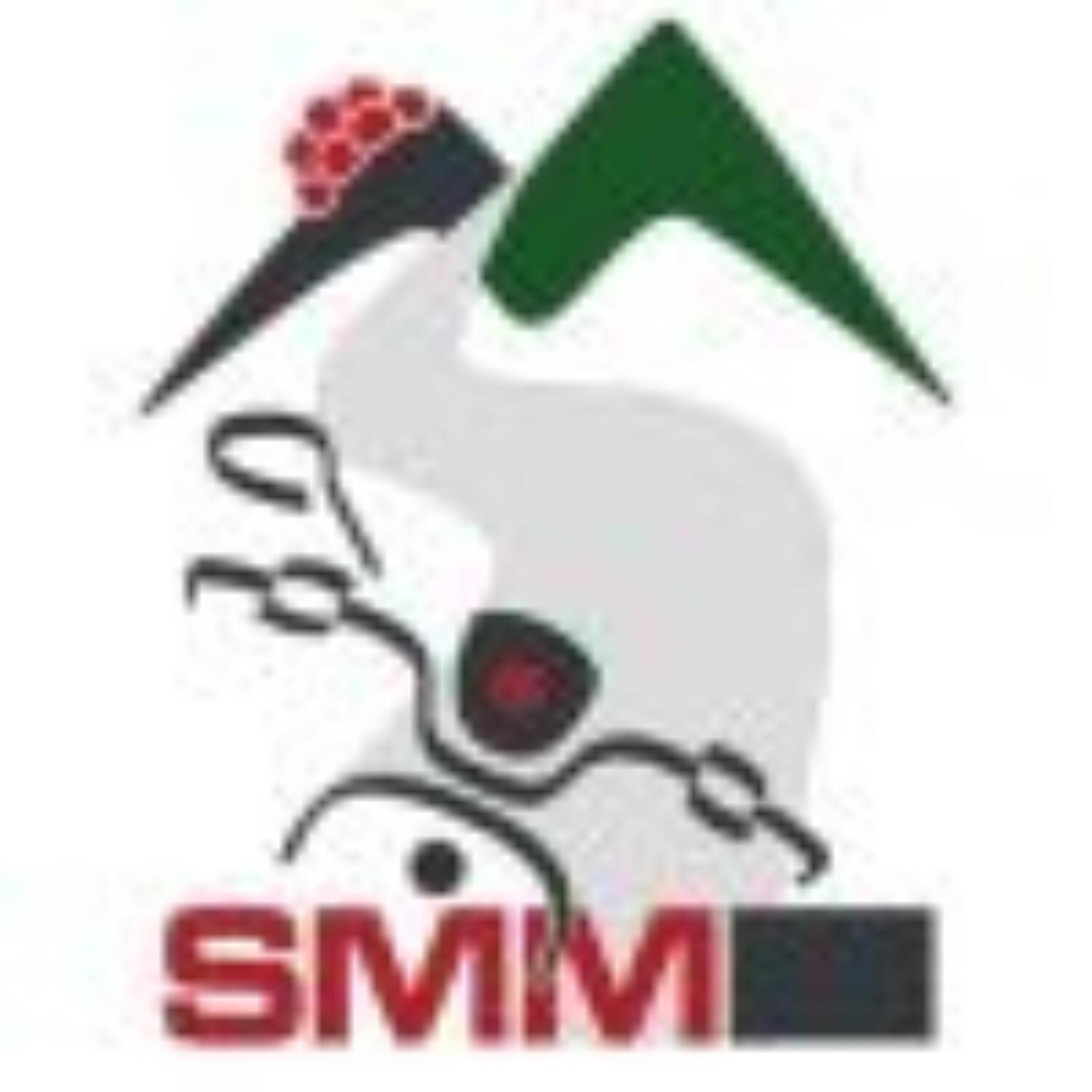 Schwarzwald Mopedmarathon
