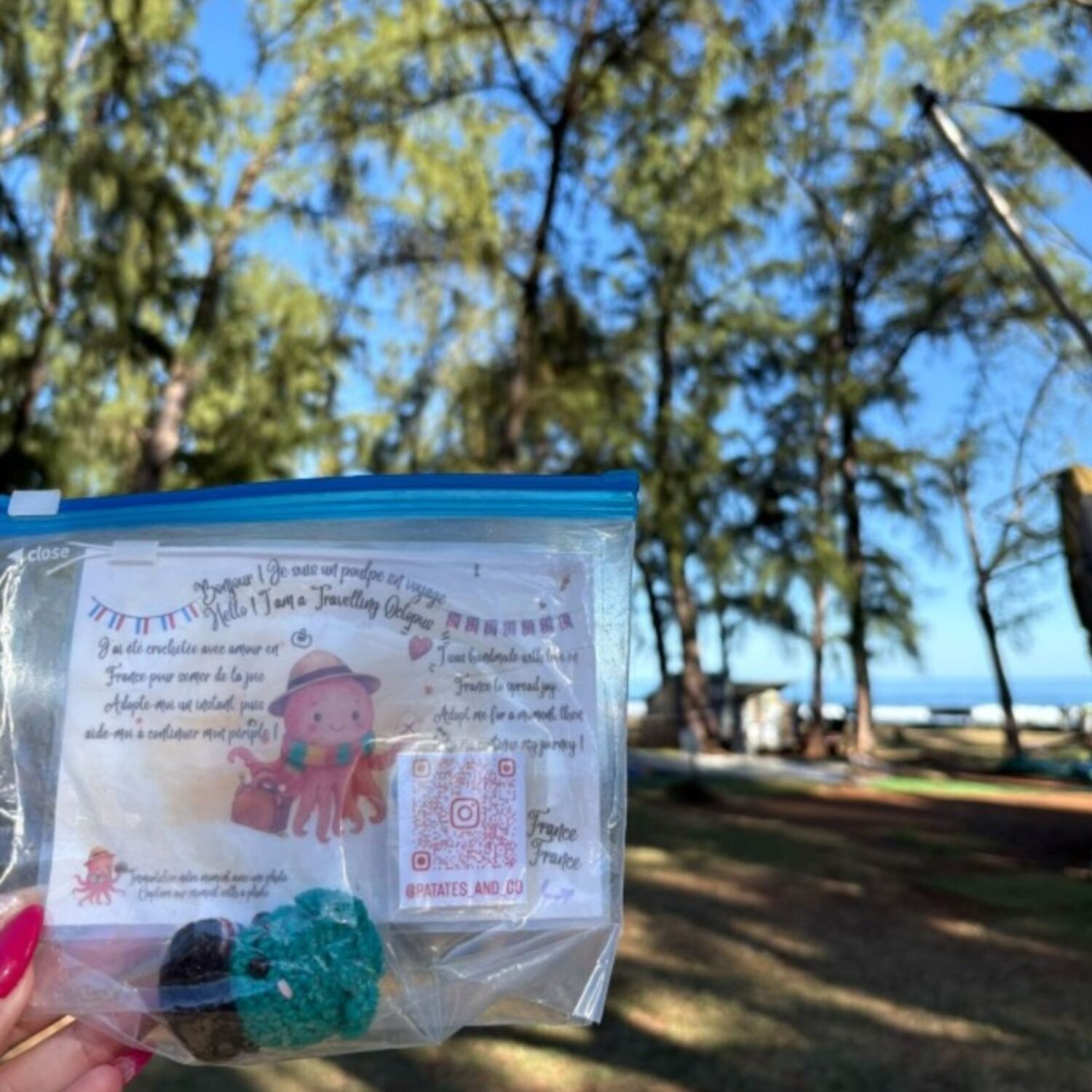 Frenchy Poulpy à la Réunion