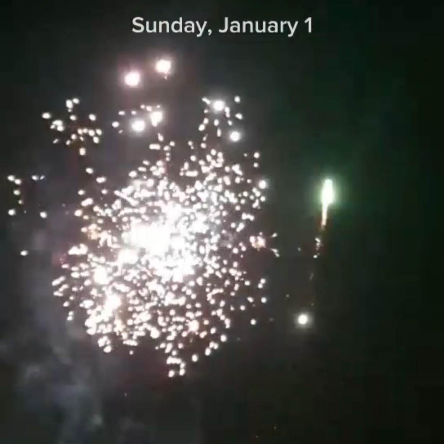 Silvester