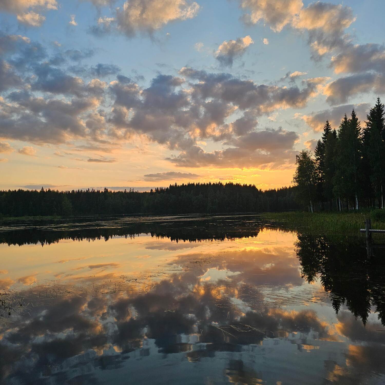 Scandinavia and Baltic states