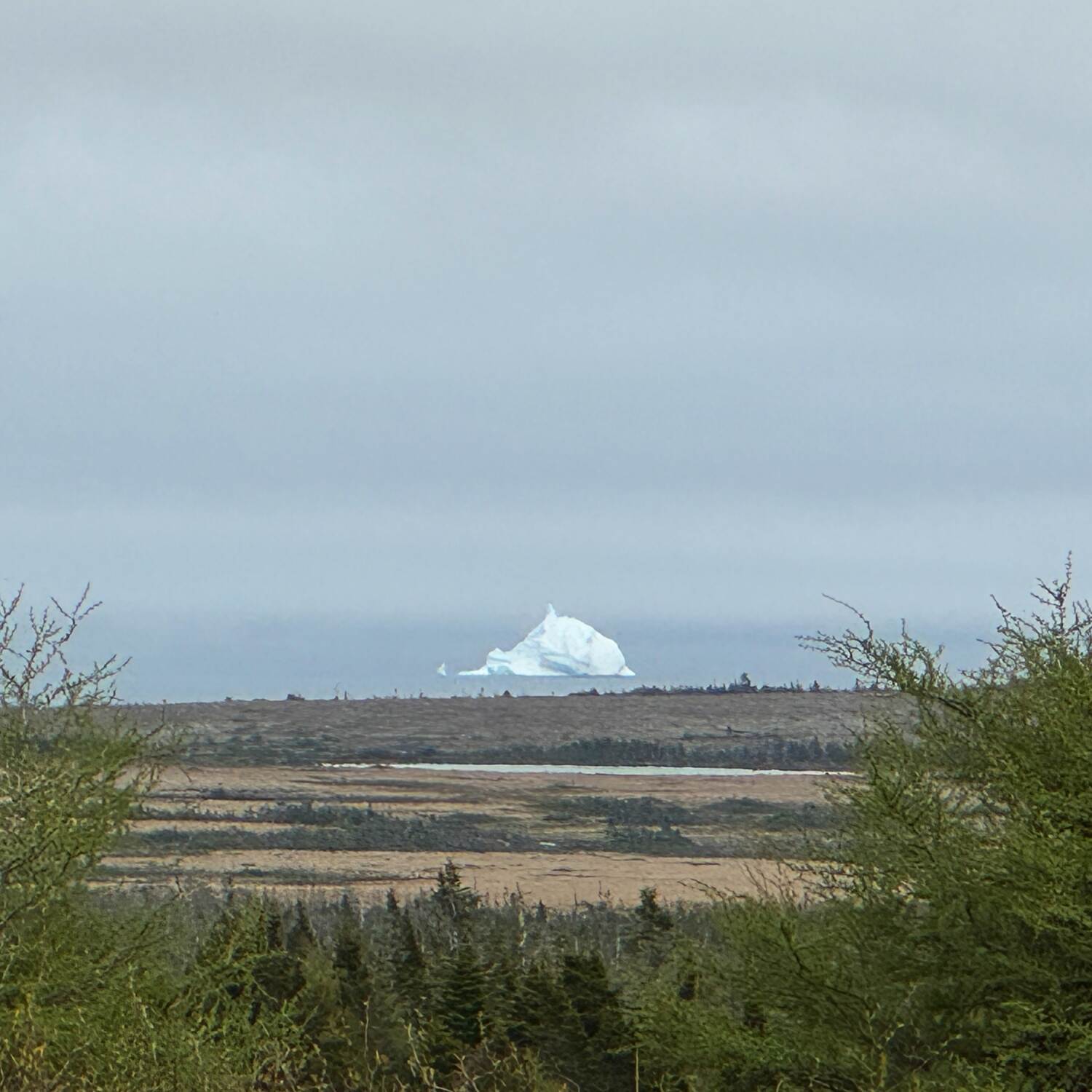 2025 – Newfoundland & Labrador