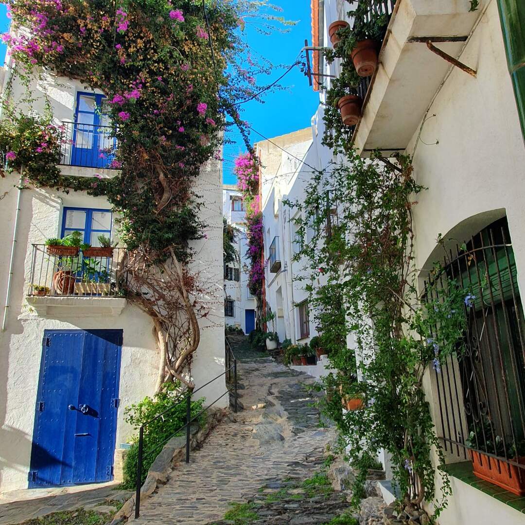 WE Cadaqués