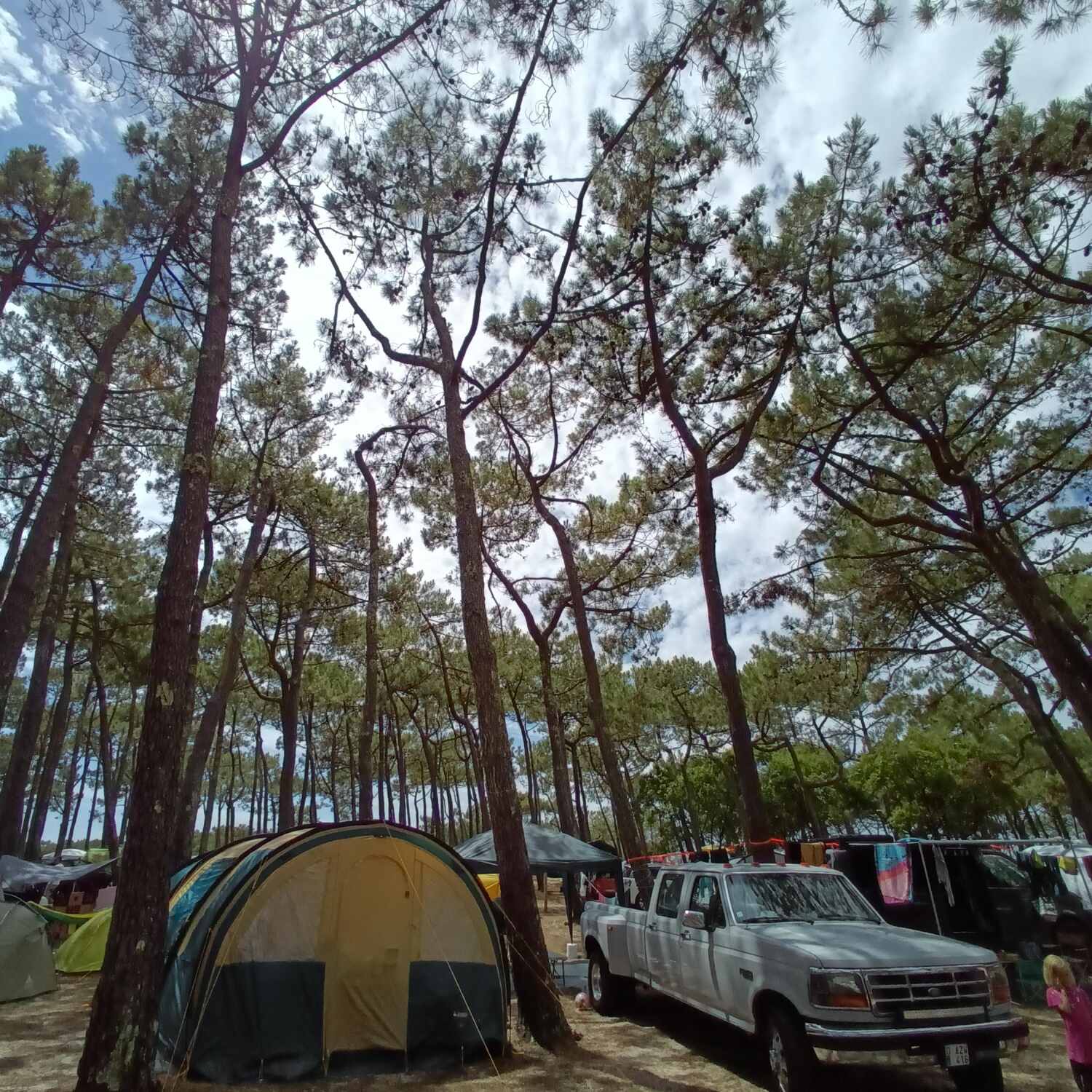 Decouverte des Landes