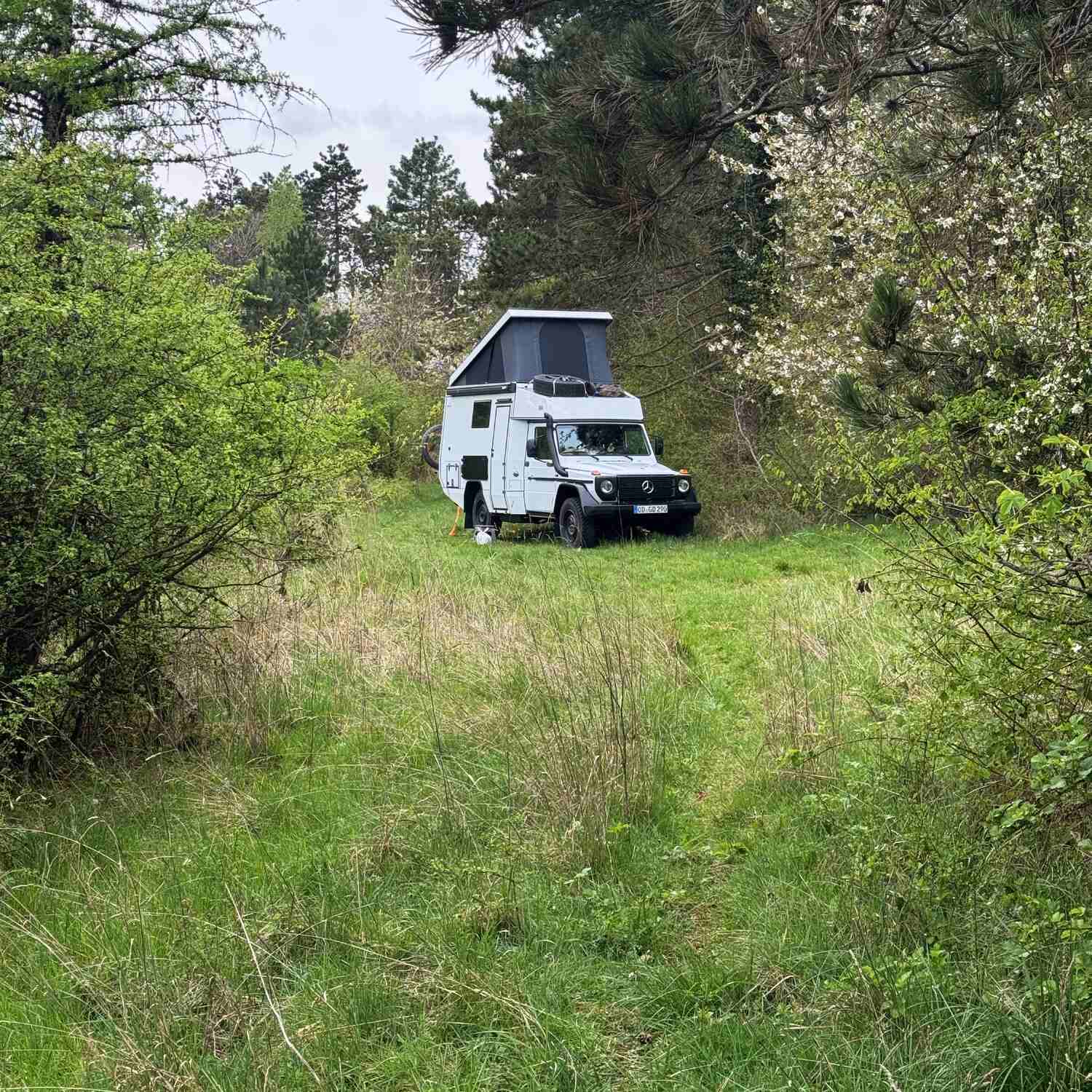 Erste Reise mit dem neuen G