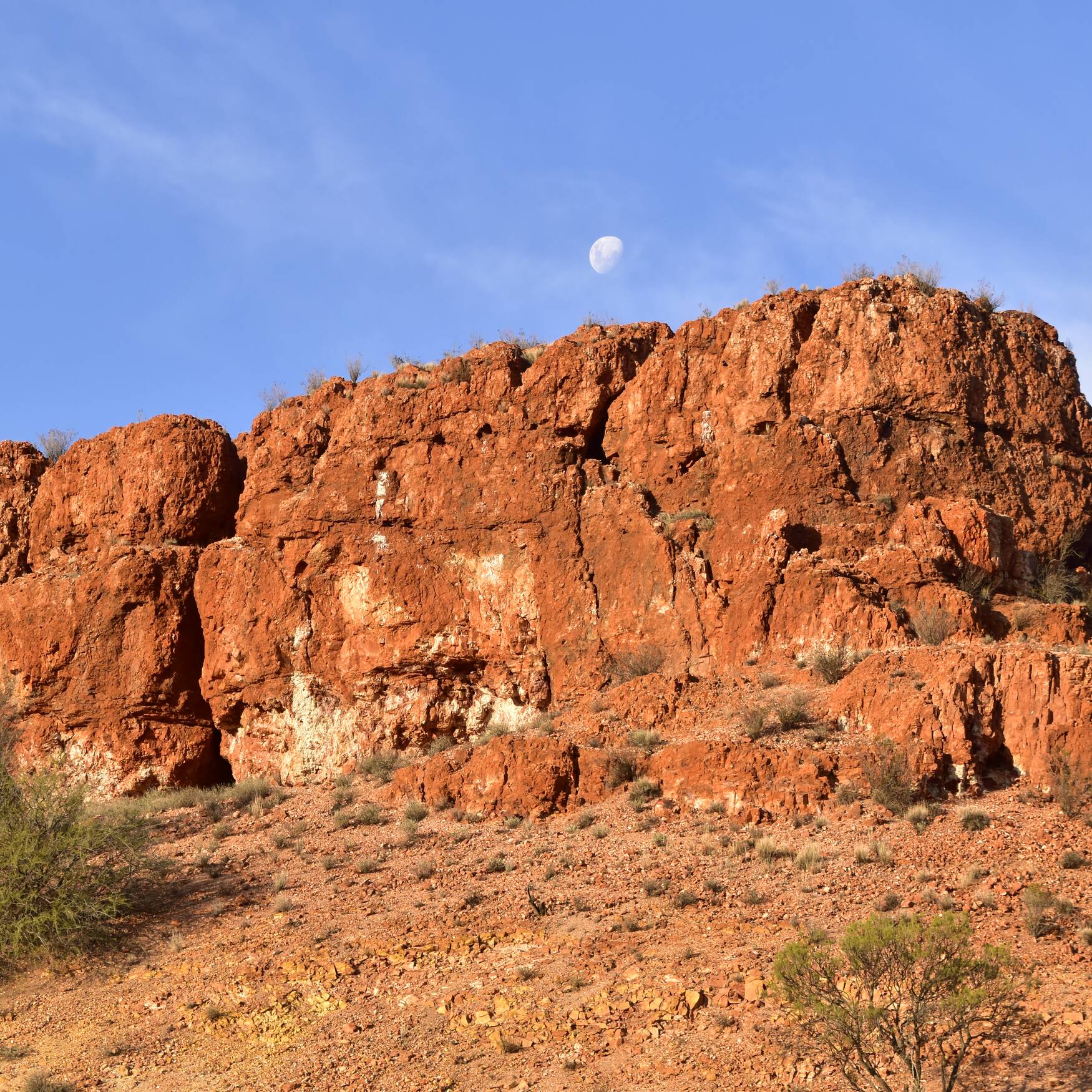 Anne Beddell Outback Trek