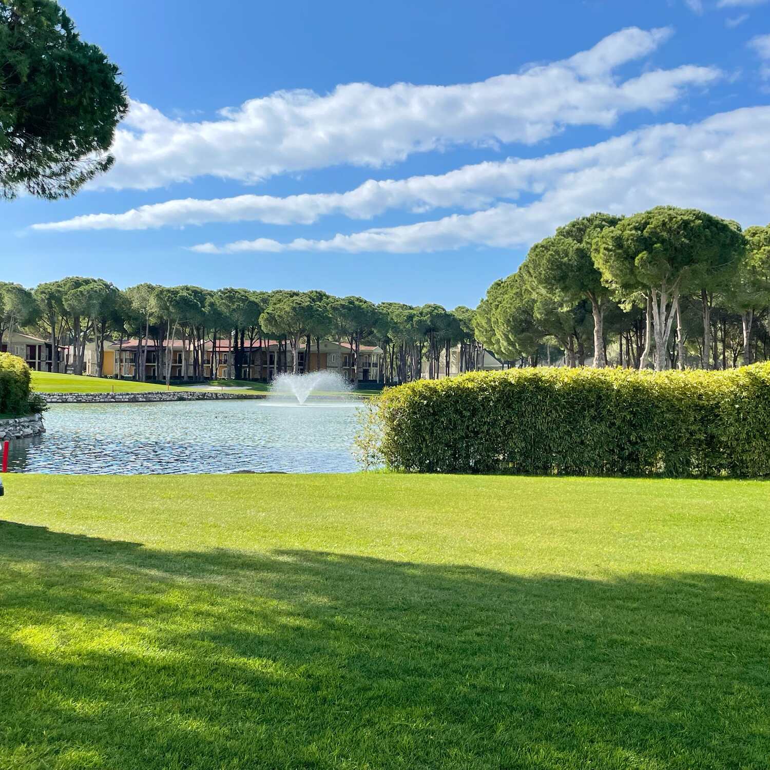 Golfen 🏌️‍♀️ in der Sonne ☀️