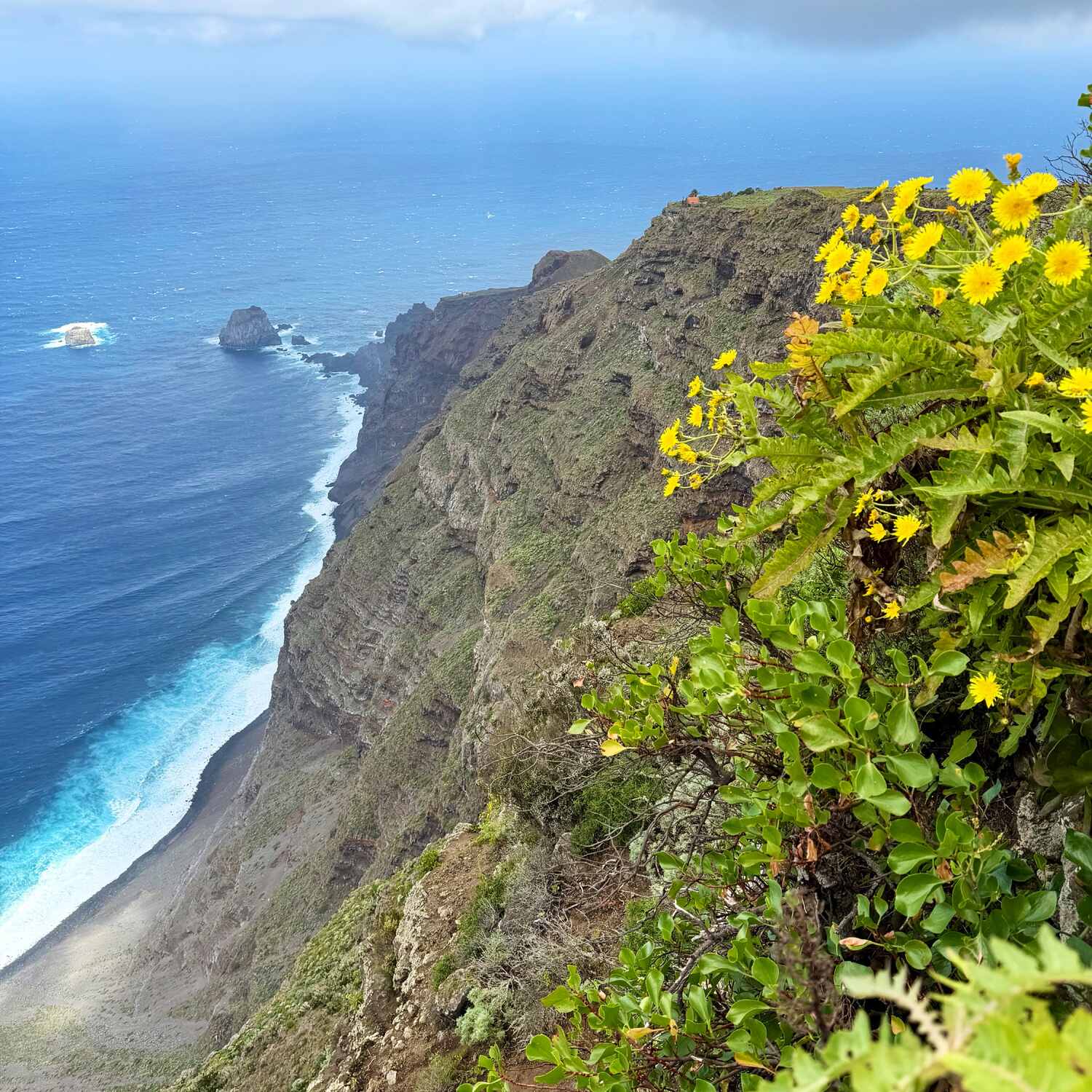 Wandern Hierro und La Gomera