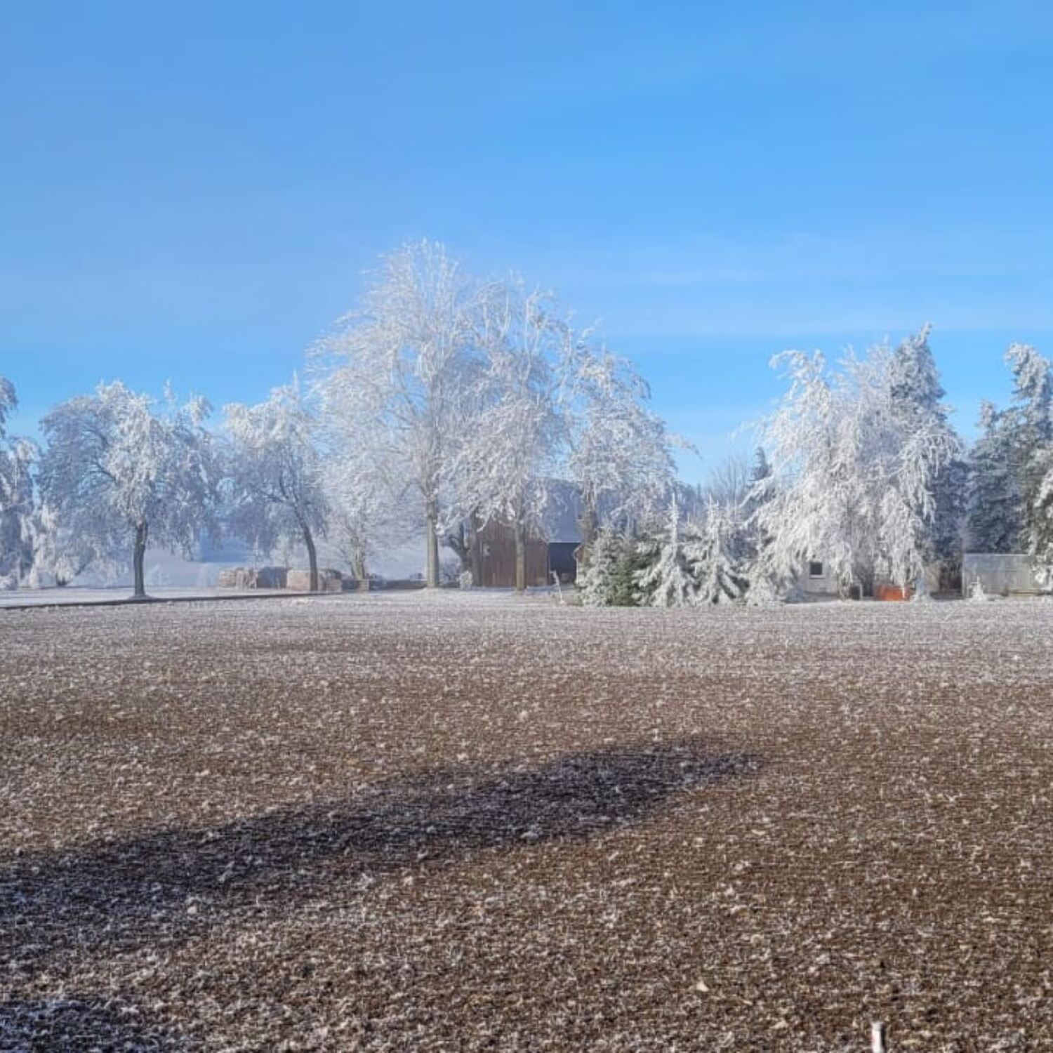 Weihnachten in Seiffen 2025/26