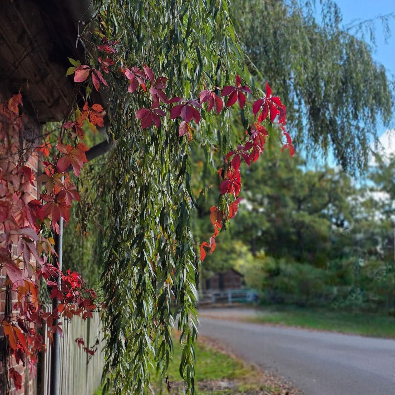 Sehnsucht Natur