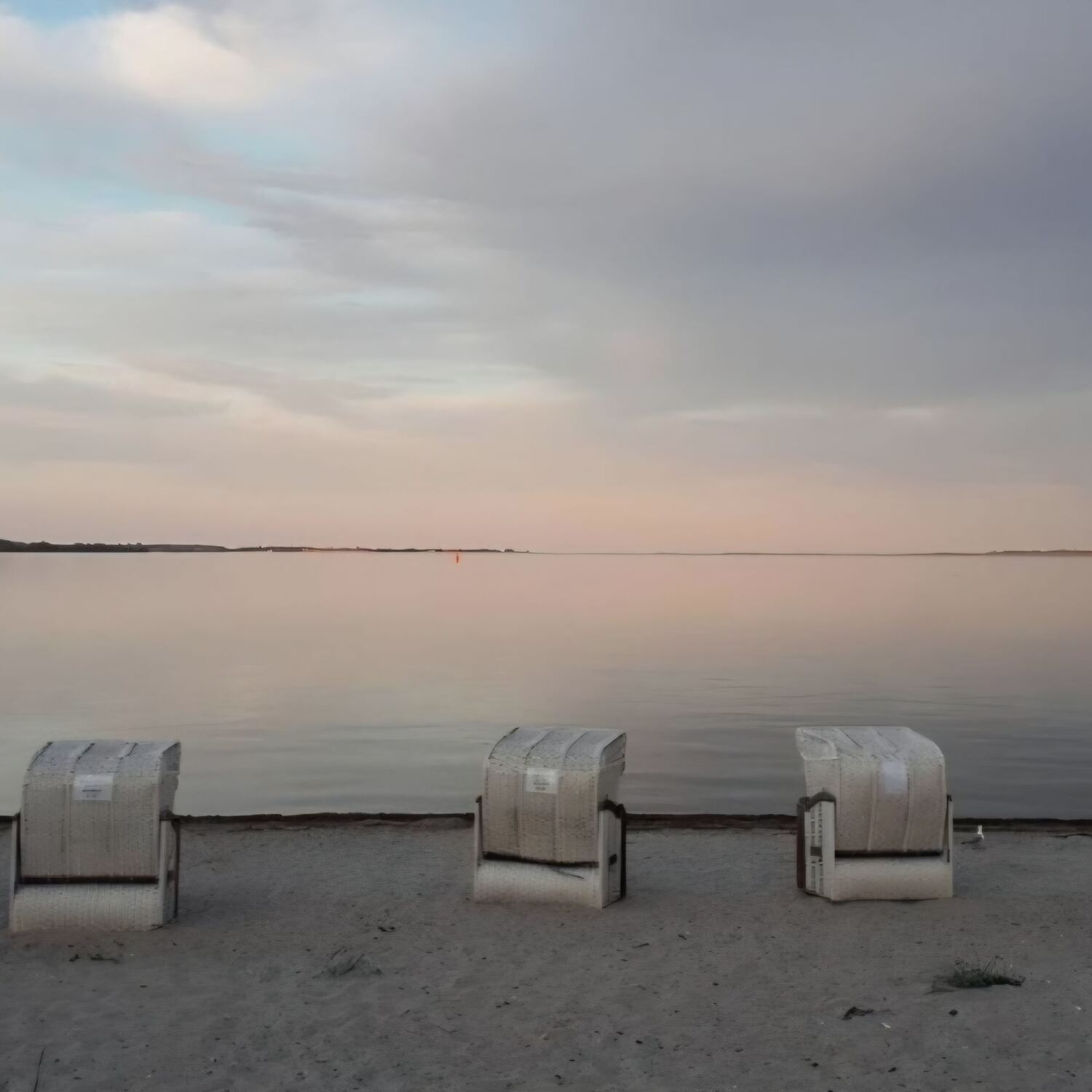 Moin Schleswig Holstein 2026