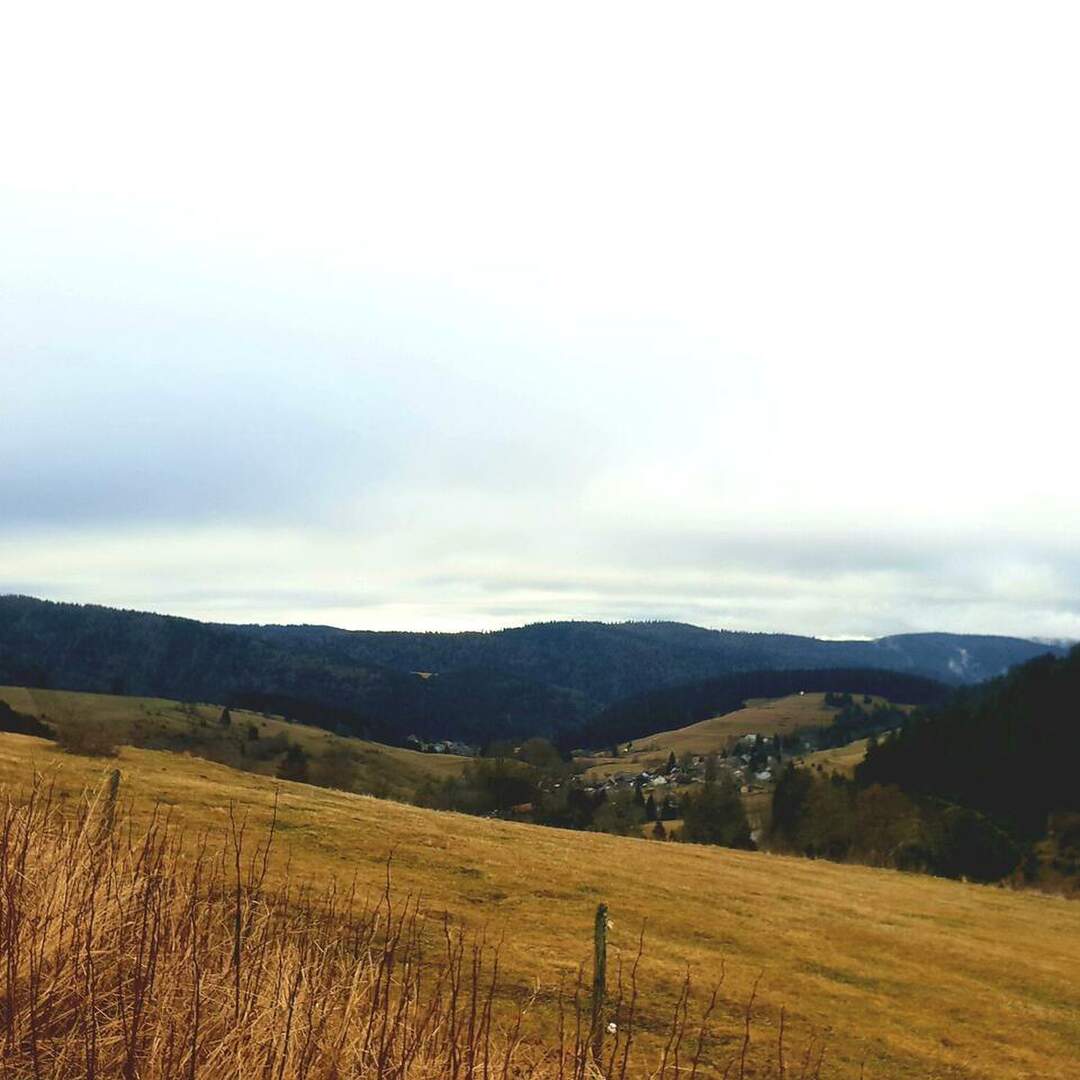 Schwarzwald