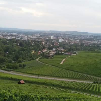 Heilbronn