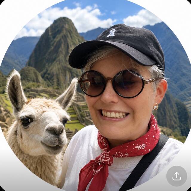 AlpacaMyBags