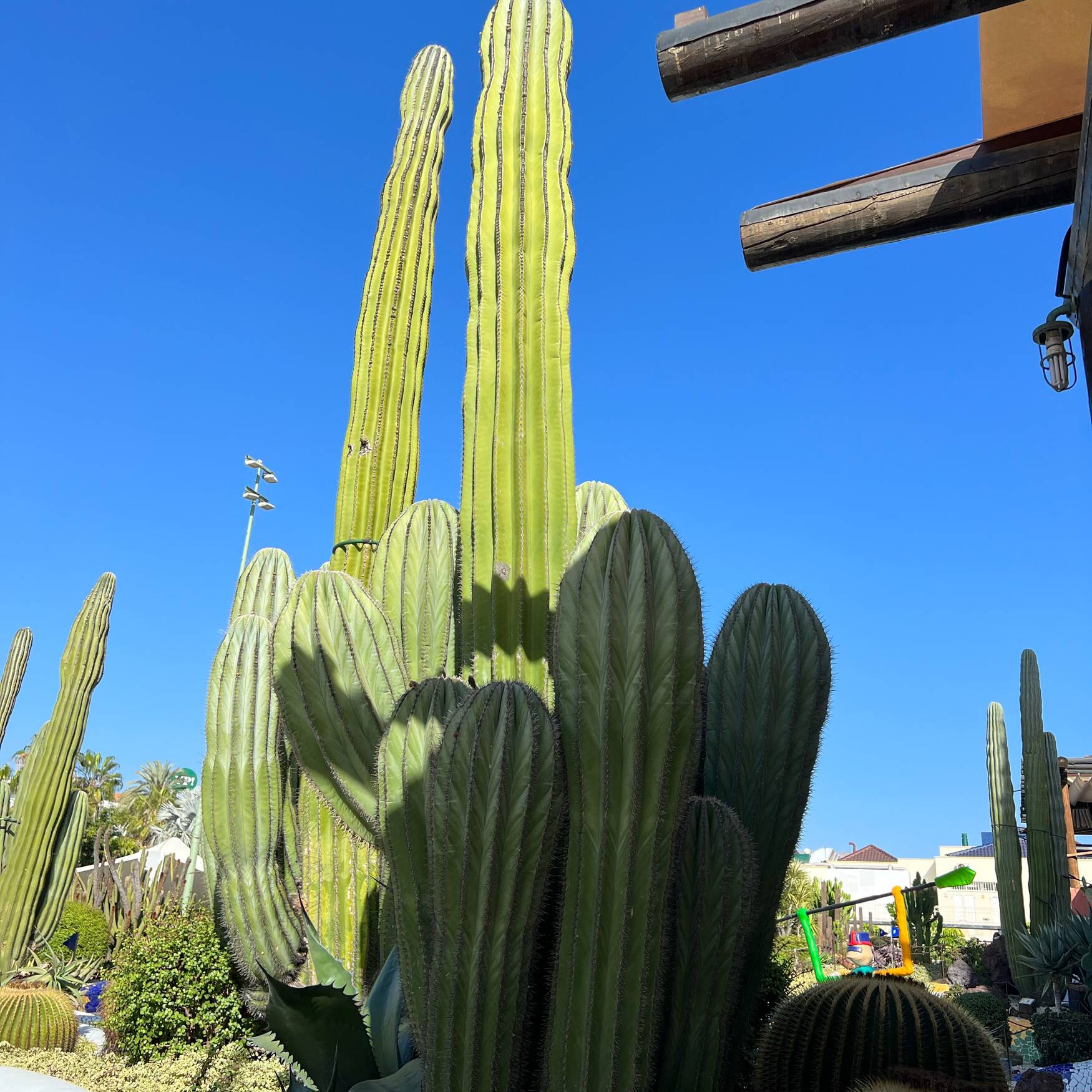 Tenerife