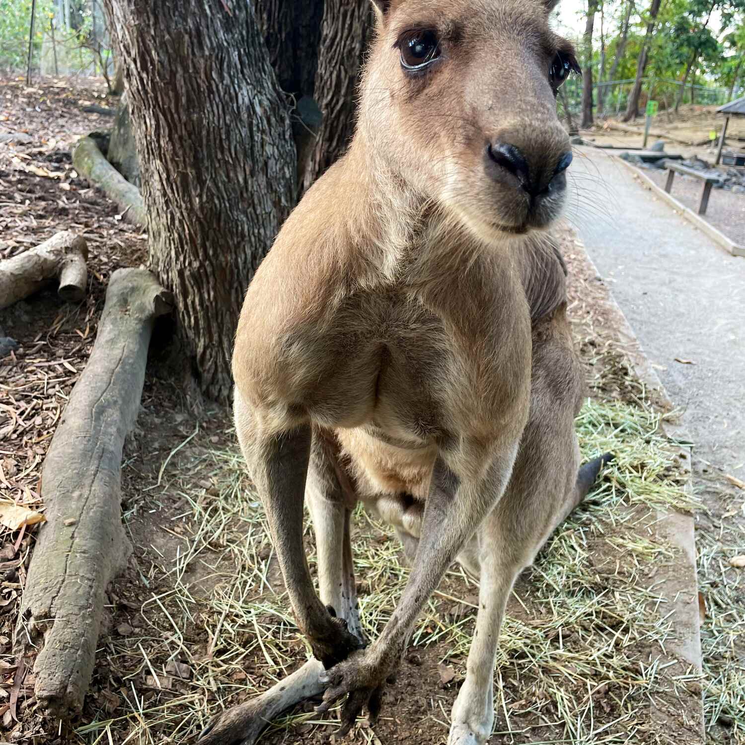 Australien Work and Travel