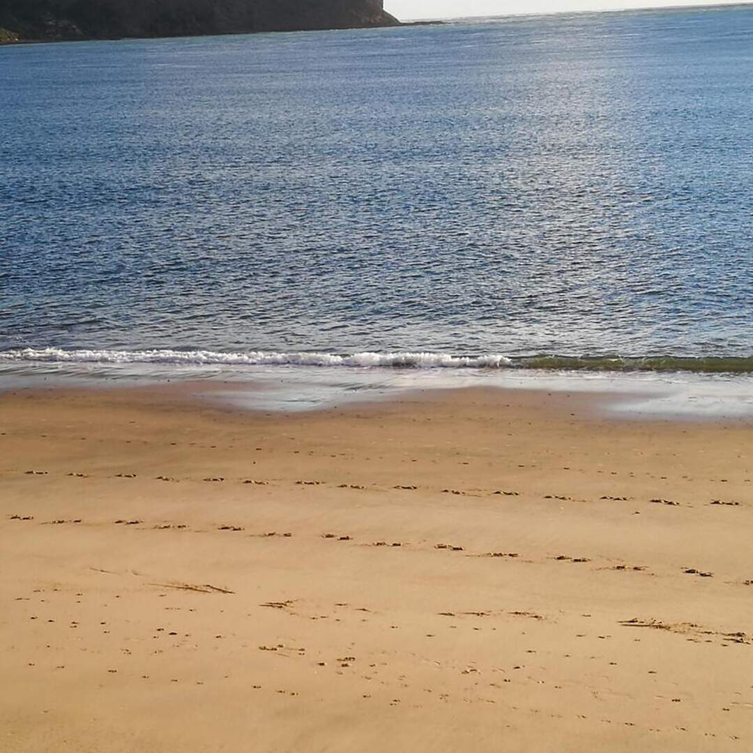 Winterless Northland