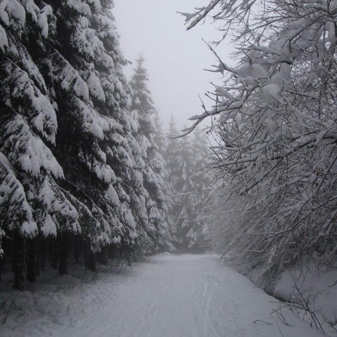Hautes Fagnes Belgium