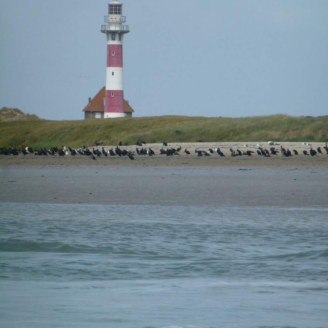 Boating Belgian Coast