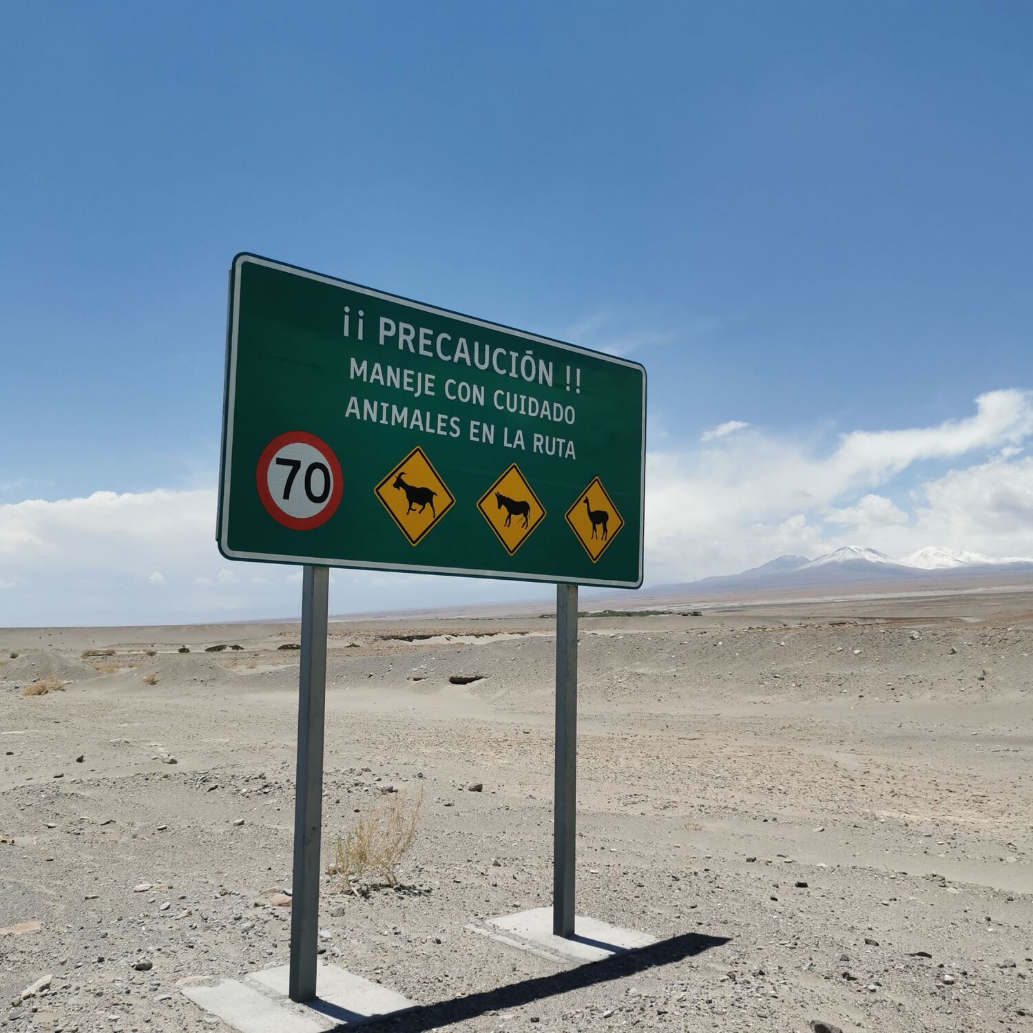 Tango & Pisco Motorradtour 26