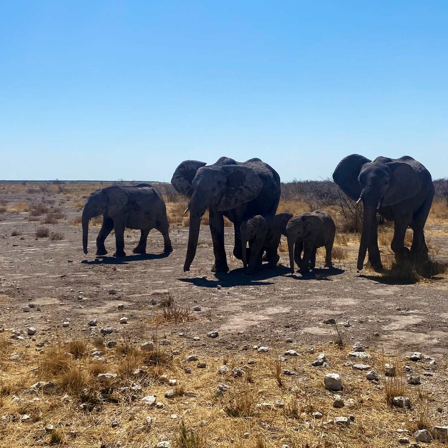 Südafrika & Namibia