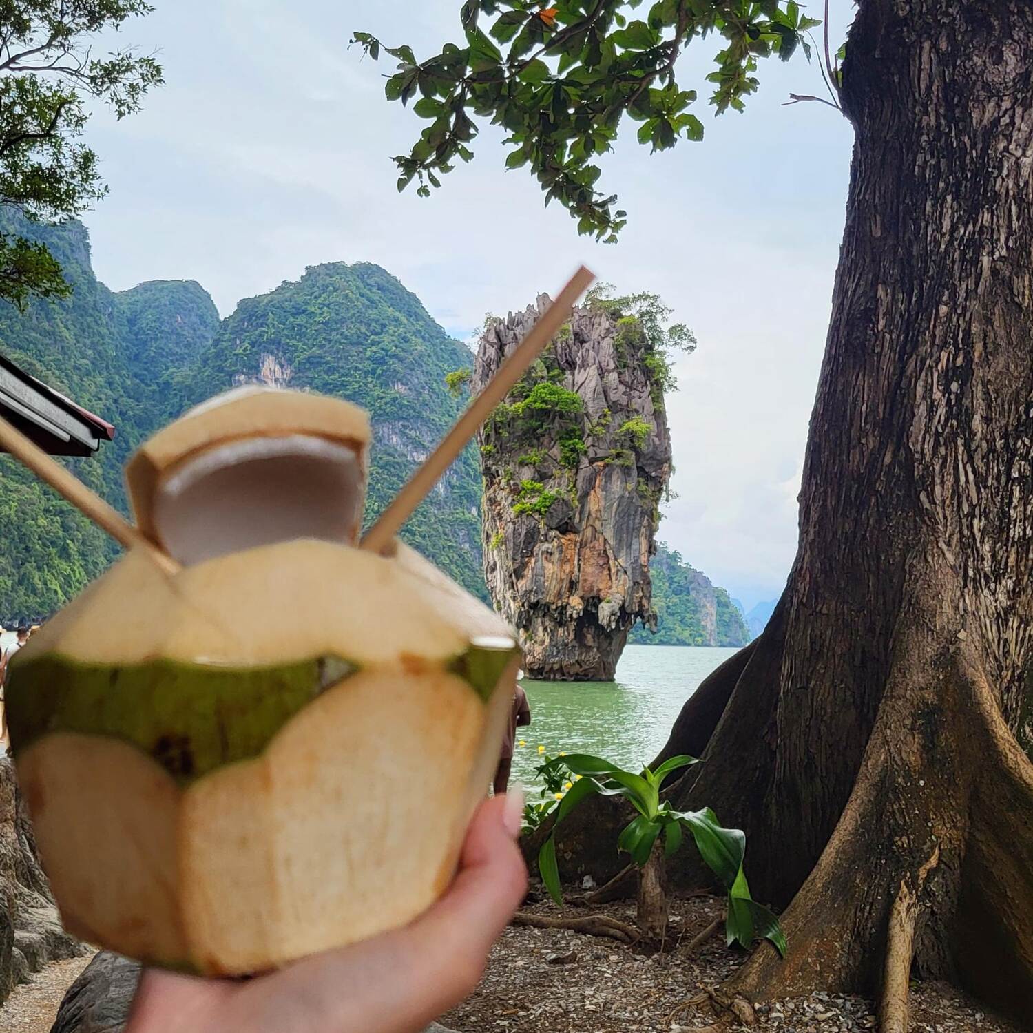 Thailand 2024