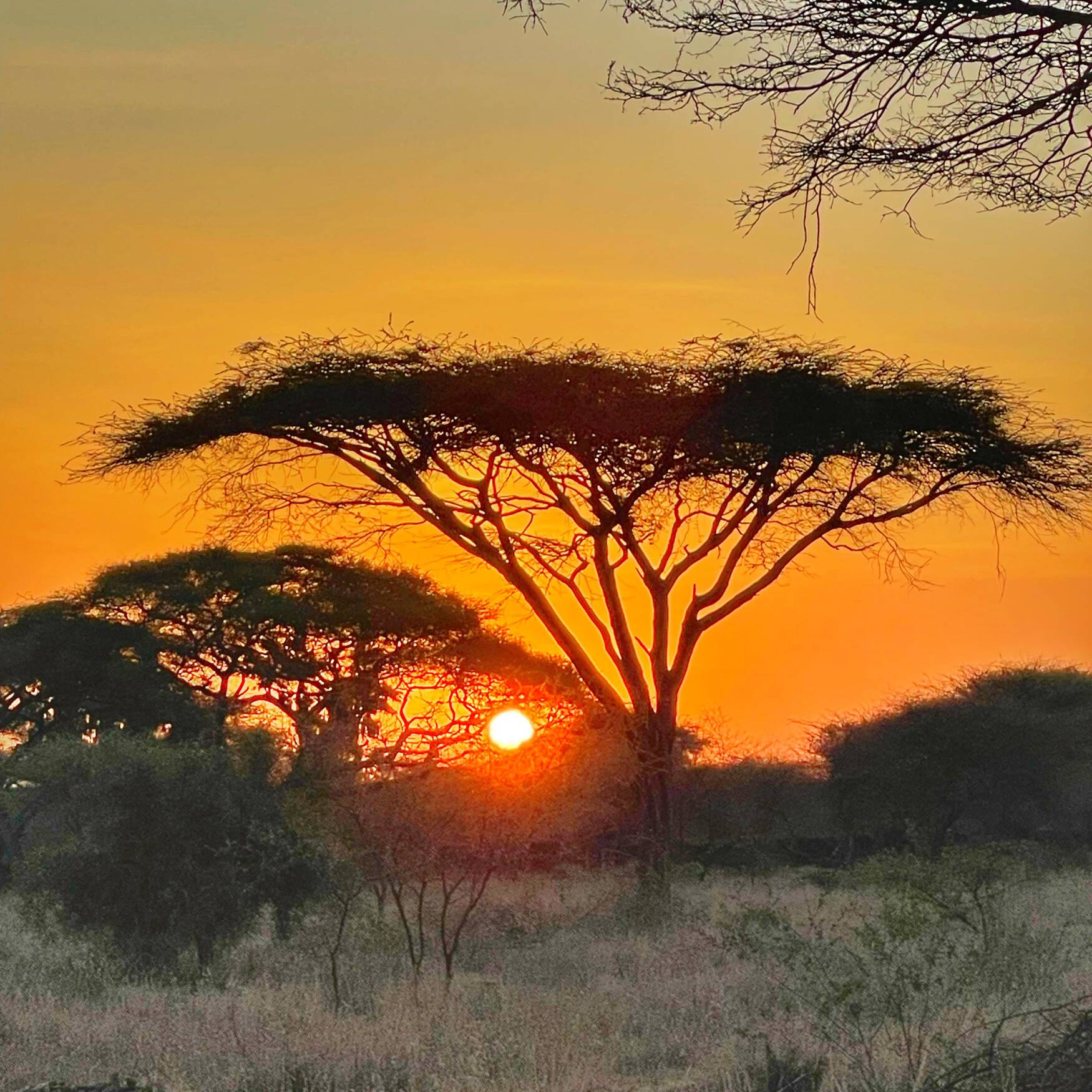 Kenia / Tanzania