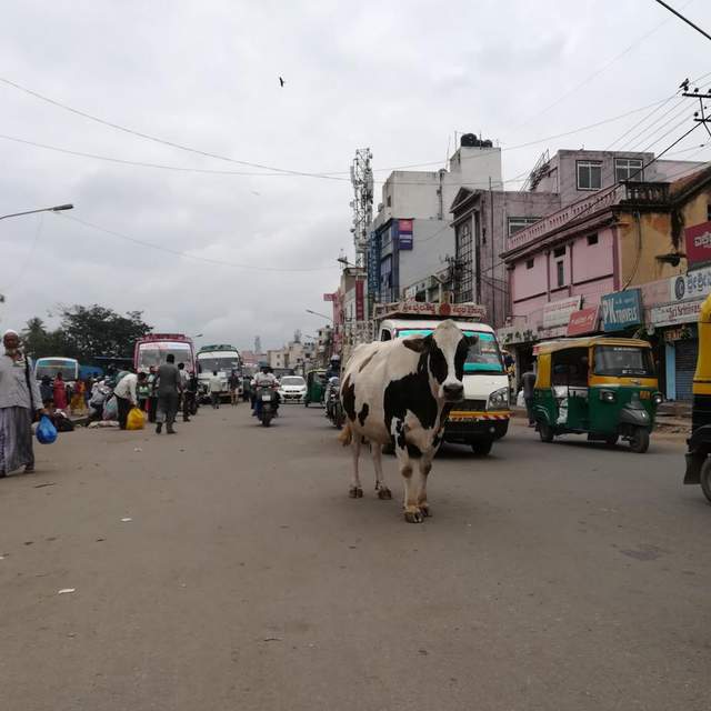 Indien 2017