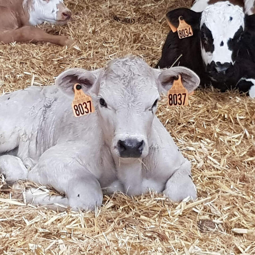 WE à la ferme 2019