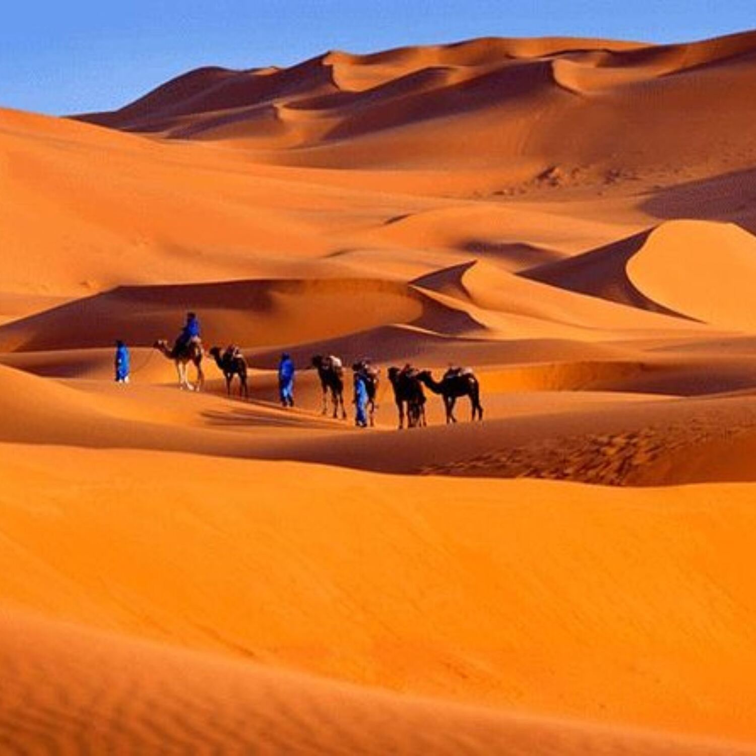 Maroc 2026