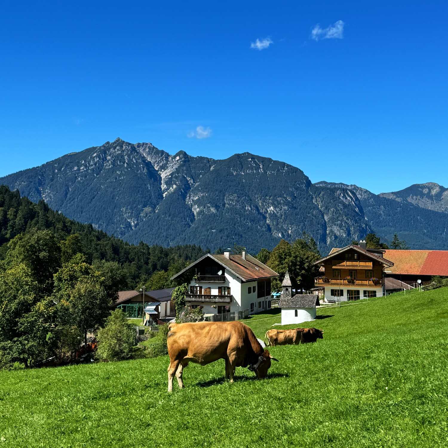 Garmisch-Partenkirchen 🏔️