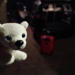 Ice Bear's Life Lali